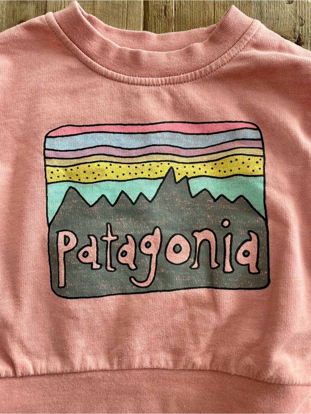 Patagonia: Baby Crewneck Sweatshirt - Picture 2 of 13